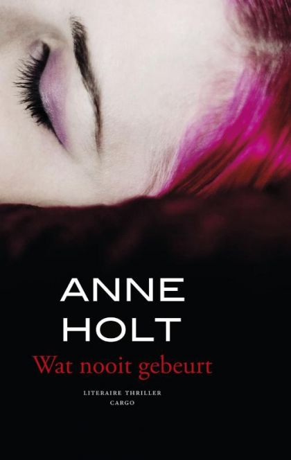 Kaft van Wat Nooit Gebeurt