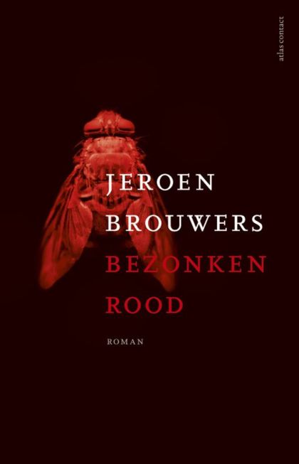 Kaft van Bezonken rood
